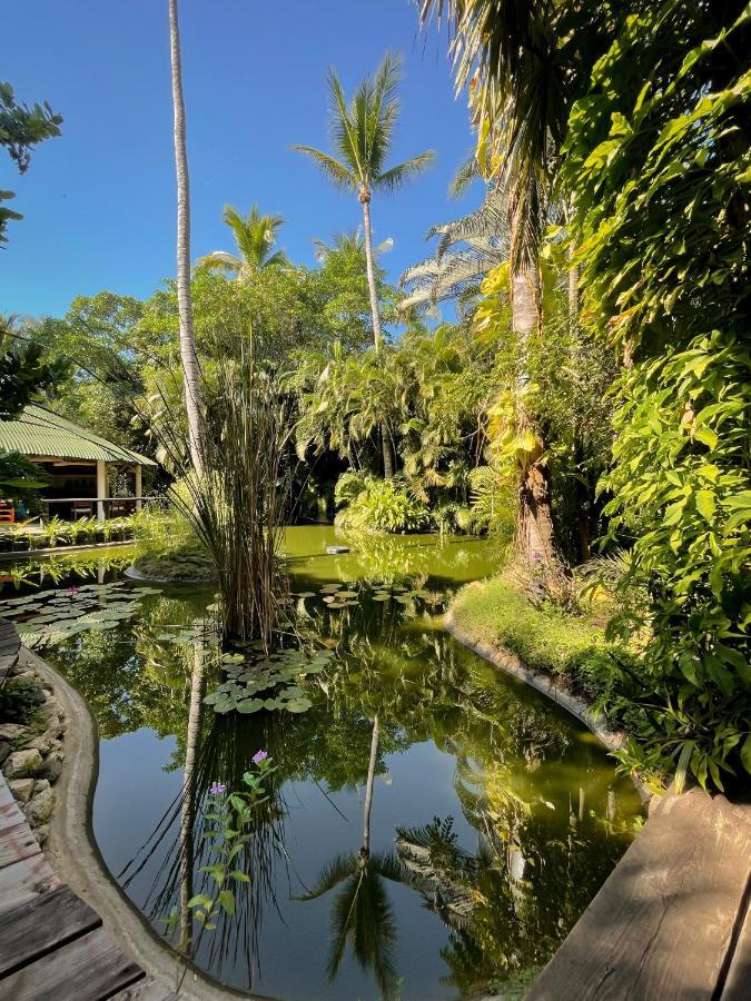 Jardin Secreto Centro Holistico Villa Acapulco Esterno foto