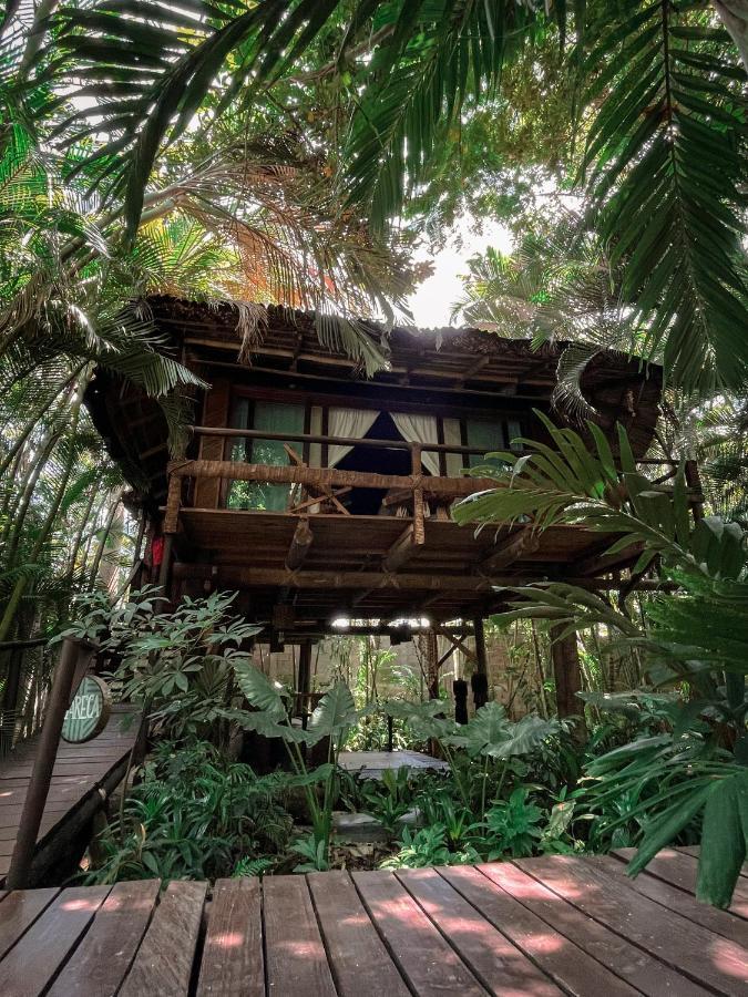 Jardin Secreto Centro Holistico Villa Acapulco Esterno foto